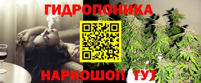 прущие грибы Бузулук