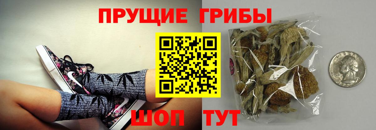 Галлюциногенные грибы MAGIC MUSHROOMS Тайшет